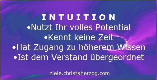 Intuition nutzt das volle Potential