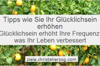 Tipps um glücklicher zu sein