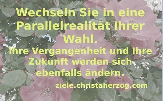 Sein Leben Andern Vision Ziele